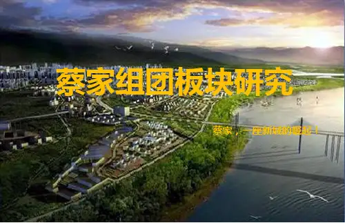 蔡家组团分析