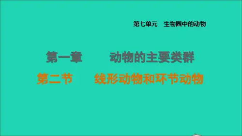 八年级生物上册第七单元生物圈中的动物第一章动物的主要类群第2节线形动物和环节动物课件鲁科版五四制