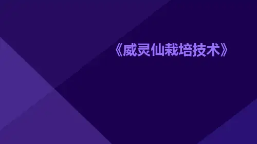 威灵仙栽培技术