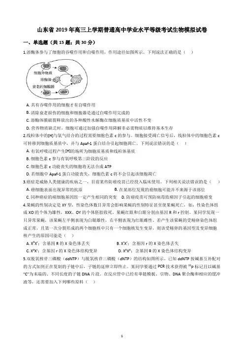 山东省2019年高三上学期普通高中学业水平等级考试生物模拟试卷