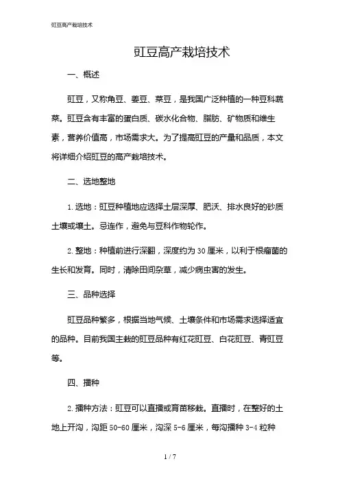 2024年豇豆高产栽培技术
