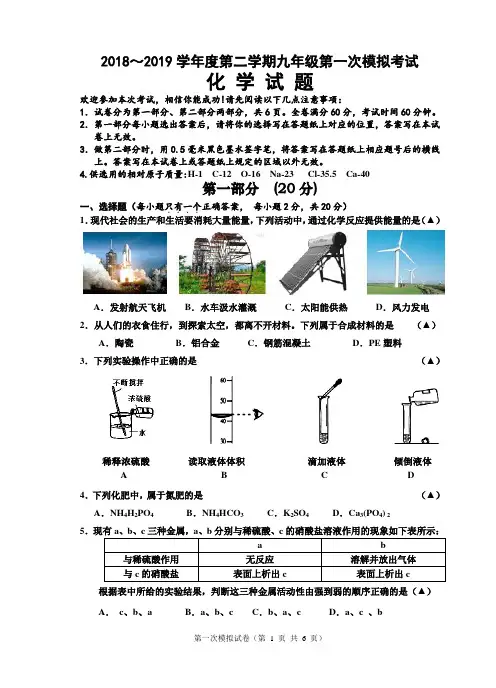 2018～2019学年度第二学期九年级化学模拟试卷