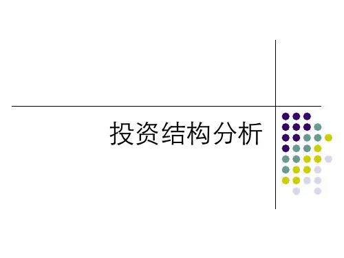 投资结构分析