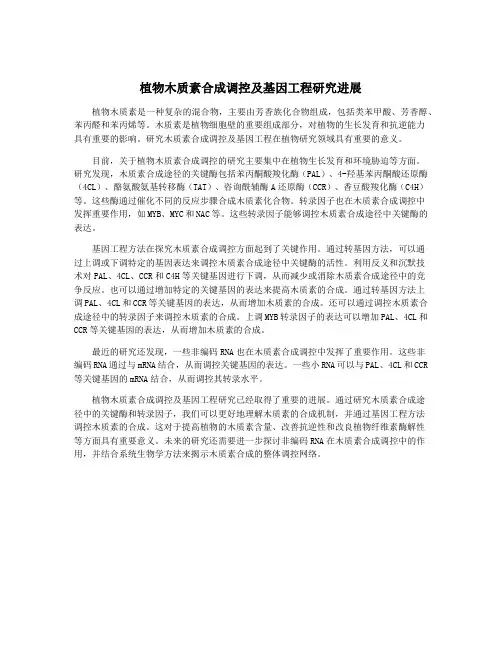 植物木质素合成调控及基因工程研究进展