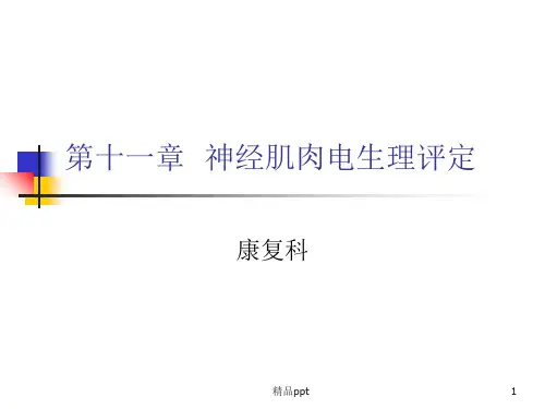 神经电生理检查PPT课件
