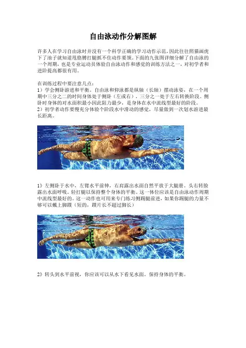自由泳动作分解图解
