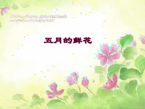 五月的鲜花