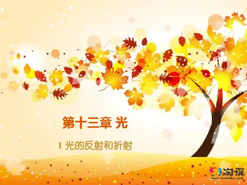 课件6：13.1 光的反射和折射