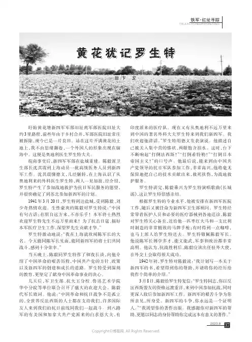 黄花犹记罗生特