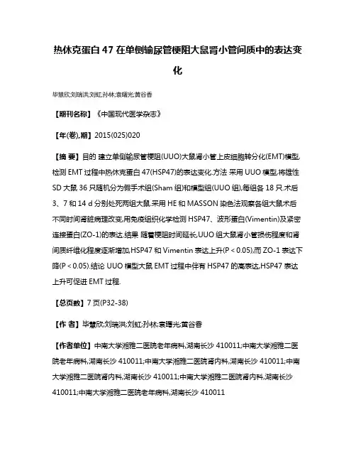 热休克蛋白47在单侧输尿管梗阻大鼠肾小管间质中的表达变化