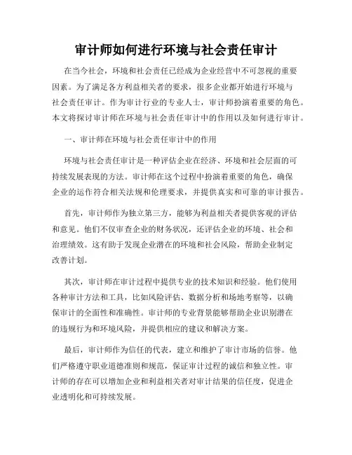 审计师如何进行环境与社会责任审计