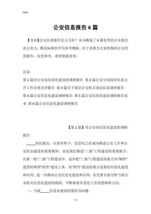 公安信息报告6篇