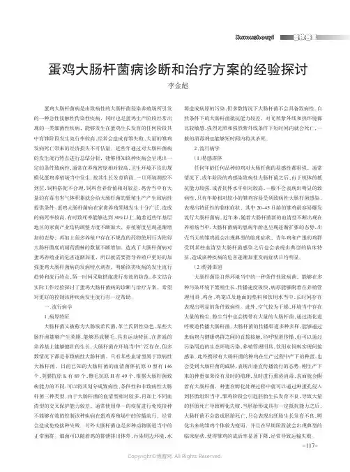 蛋鸡大肠杆菌病诊断和治疗方案的经验探讨
