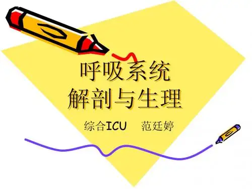 呼吸系统解剖生理