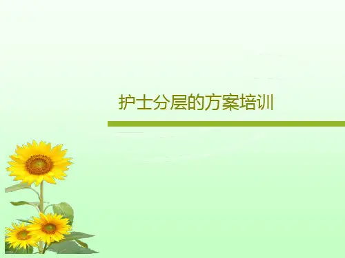 护士分层的方案培训共24页PPT