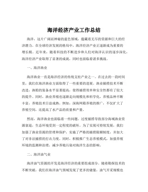 海洋经济产业工作总结