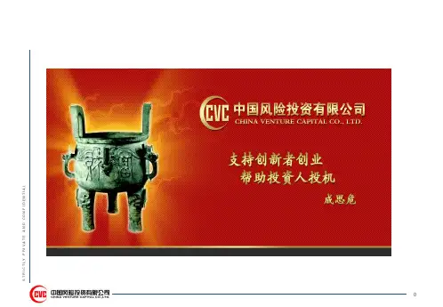 中国风险投资简介资料
