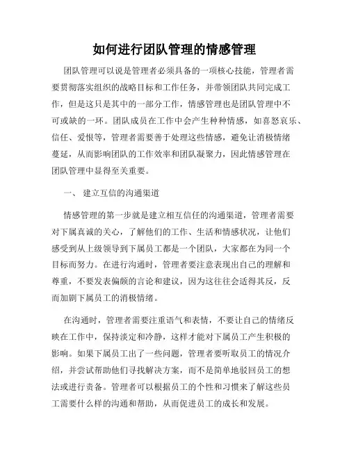如何进行团队管理的情感管理