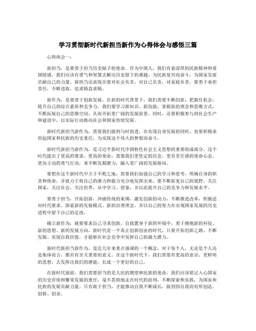学习贯彻新时代新担当新作为心得体会与感悟三篇