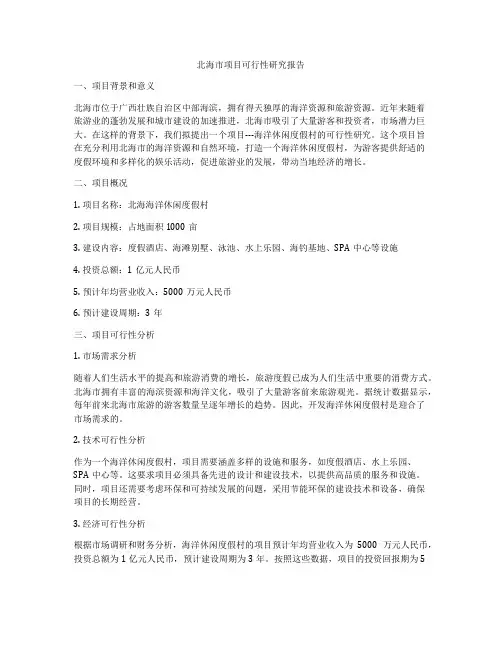 北海市项目可行性研究报告