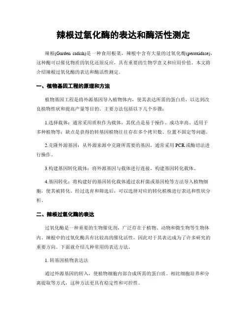 辣根过氧化酶的表达和酶活性测定