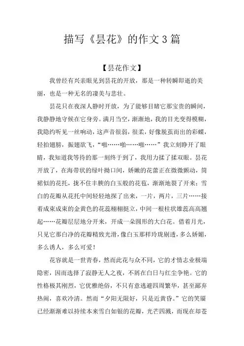 描写《昙花》的作文3篇