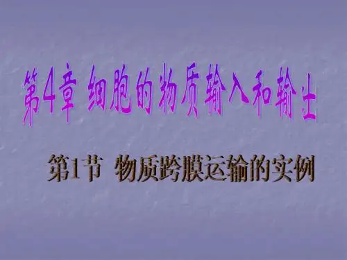 物质跨膜运输的实例(精华版)