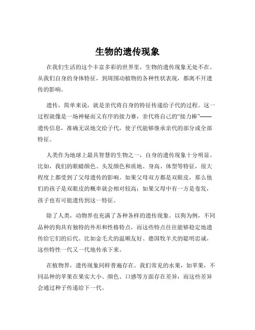 生物的遗传现象