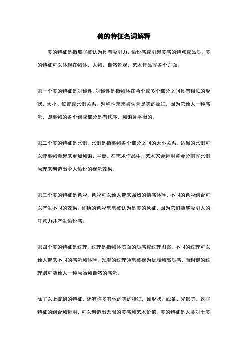 美的特征名词解释