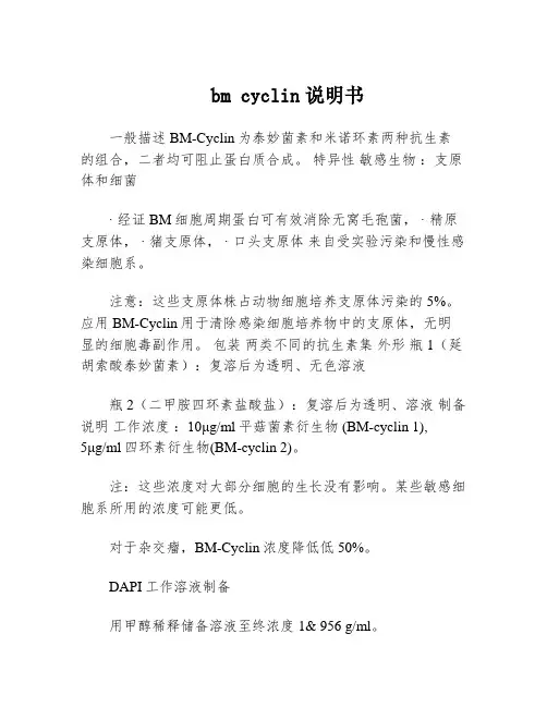 bm cyclin说明书