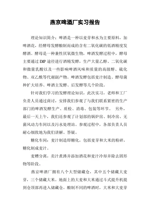 燕京啤酒厂实习报告