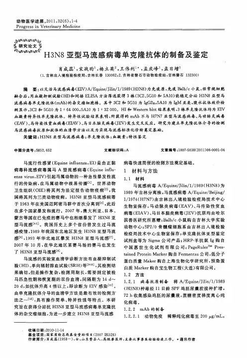 H3N8亚型马流感病毒单克隆抗体的制备及鉴定