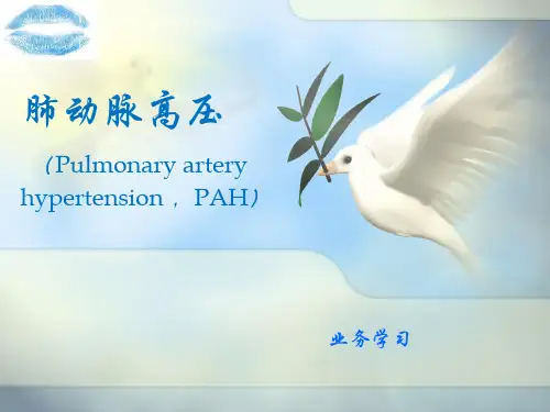 肺动脉高压ppt课件