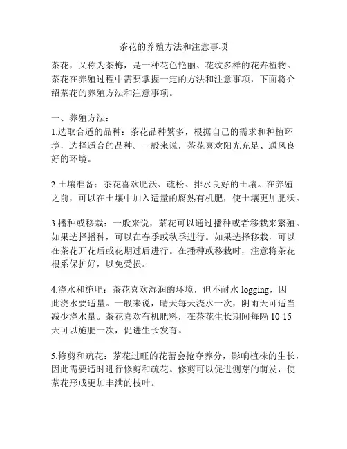 茶花的养殖方法和注意事项