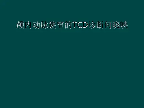 颅内动脉狭窄的TCD诊断何晓峡