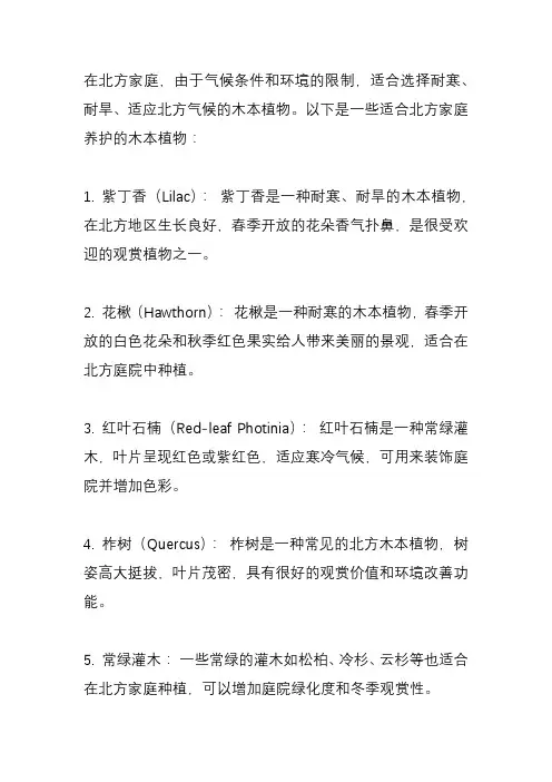 北方家庭适合养什么木本植物？