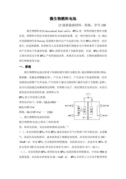 微生物燃料电池