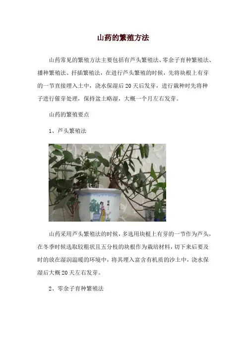 山药的繁殖方法