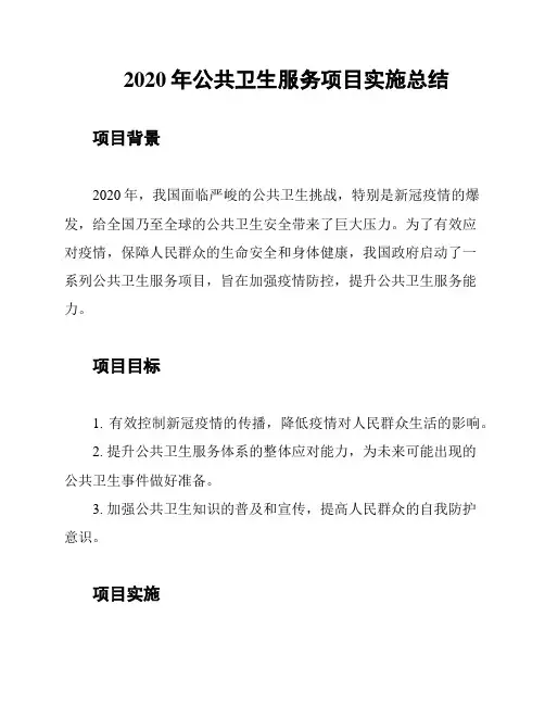 2020年公共卫生服务项目实施总结