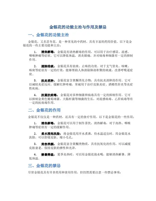 金银花的功能主治与作用及禁忌
