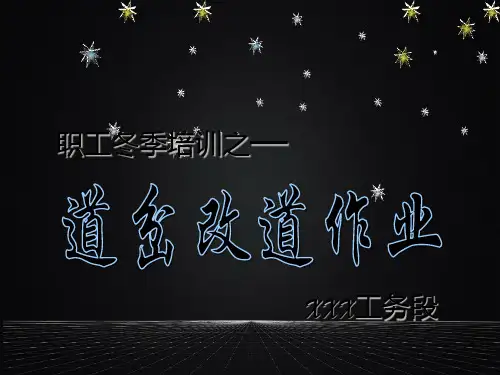 道岔改道作业PPT课件
