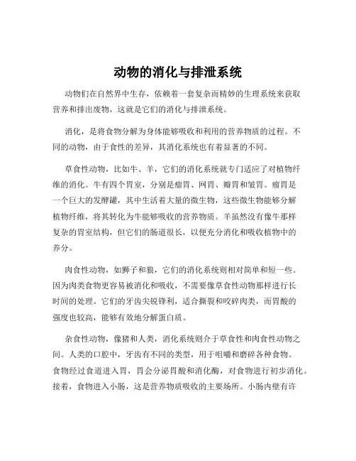 动物的消化与排泄系统