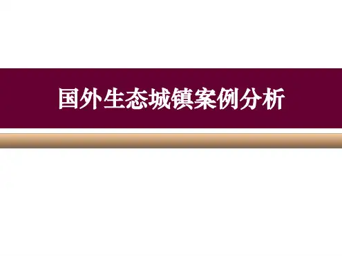 哈默比湖案例参考课件