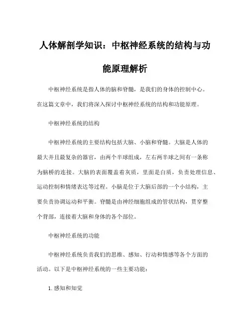 人体解剖学知识：中枢神经系统的结构与功能原理解析