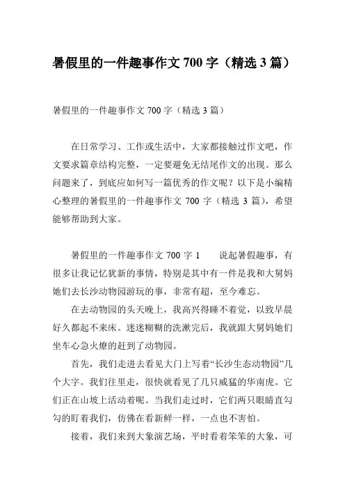 暑假里的一件趣事作文700字(精选3篇)