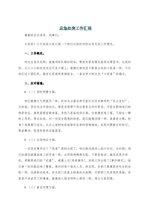 应急处突工作汇报