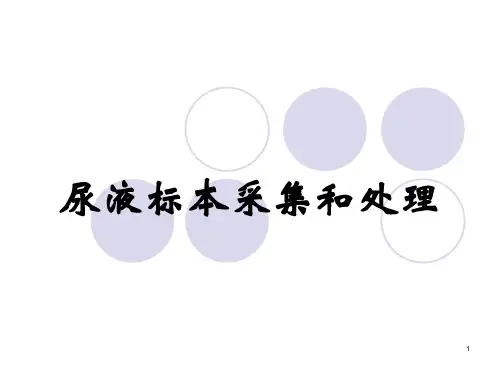 尿液标本采集和处理