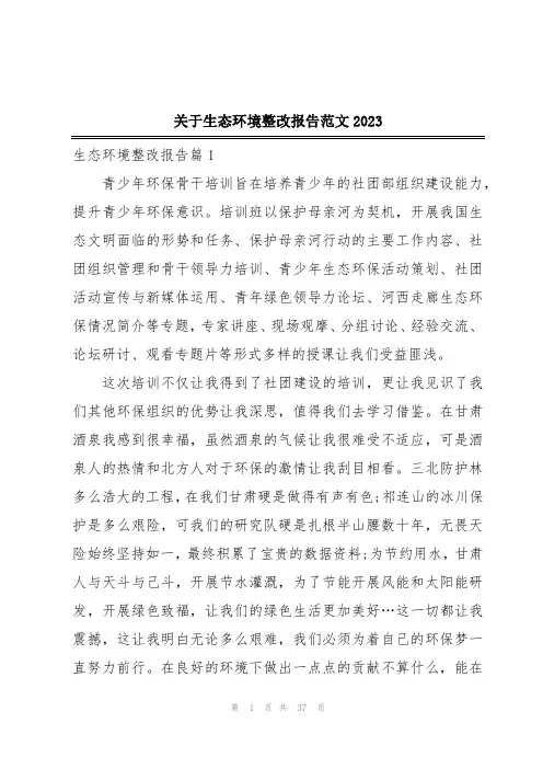 关于生态环境整改报告范文2023