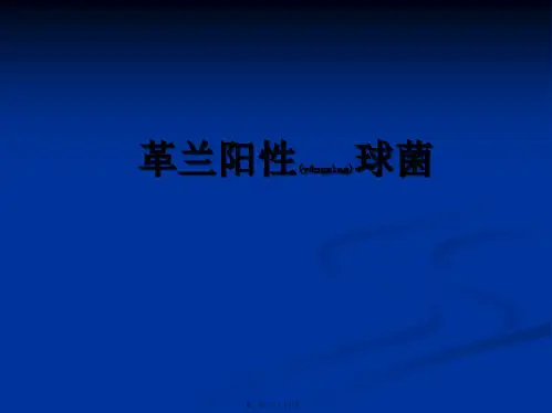 革兰阳性球菌