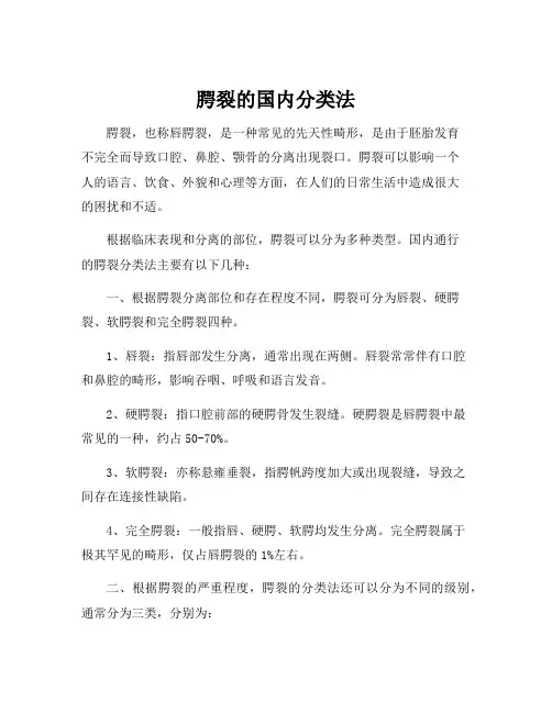 腭裂的国内分类法